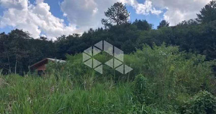 Terreno amplo e plano em frente ao asfalto localizado a poucos metros do centro e de fácil acesso à BR 116.