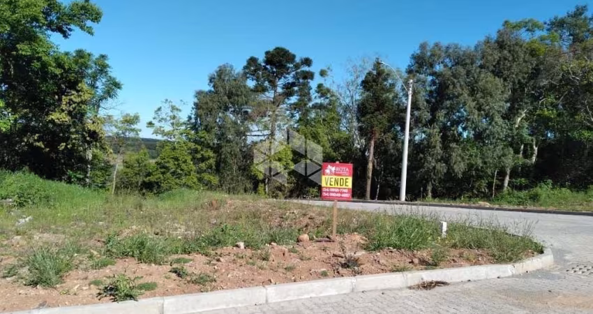 Excelente terreno com linda vista