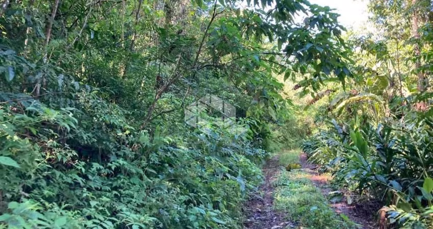 Área para cultivo