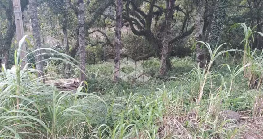 Terreno à venda na São Jacó, 6, Bavária, Nova Petrópolis