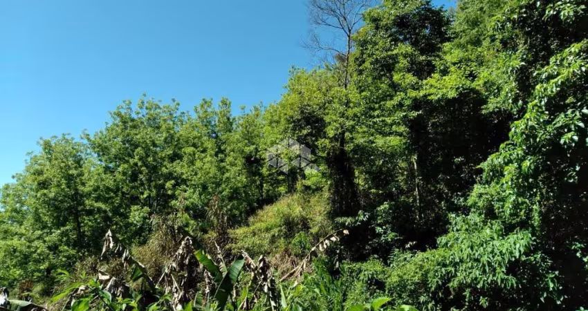 Belíssima área de terra próximo ao centro de Nova Petrópolis, RS.