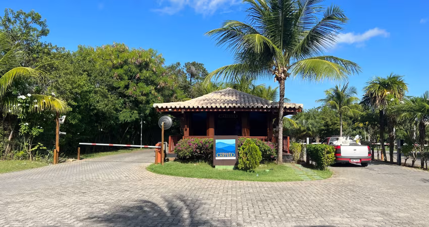 Lote no enseada do castelo em praia do forte, plano e ventilado.