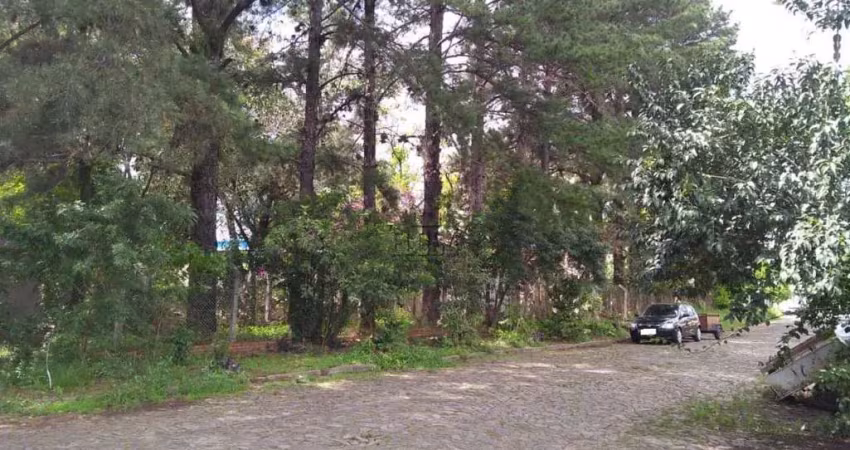 Terreno para venda  no bairro cristo rei em são leopoldo