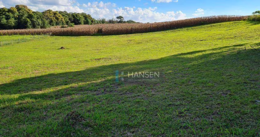 Terreno à venda, 3527 m² por R$ 980.000,00 - Belo Horizonte - Campo Alegre/SC