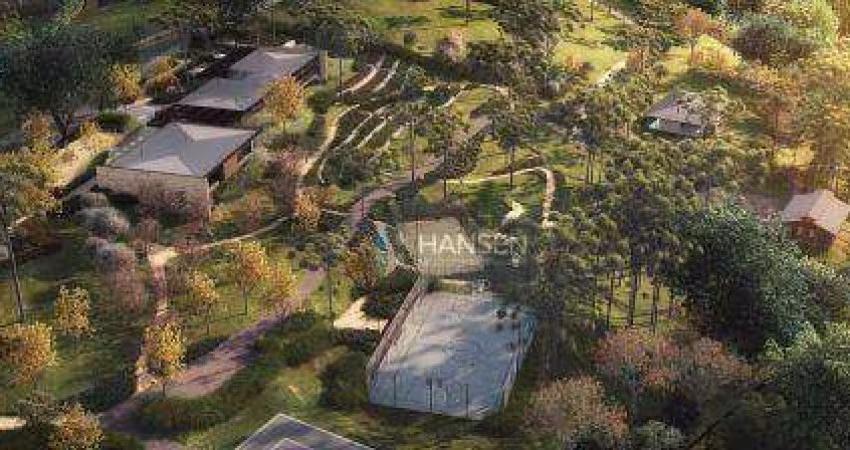 Terreno à venda, 3.422,48 m² por R$ 2.025.764 - Centro - Campo Alegre/SC