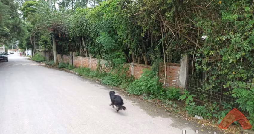 Chácara de 10.150 m² jardim santa rita - embu das artes, à venda por r$ 4.100.000