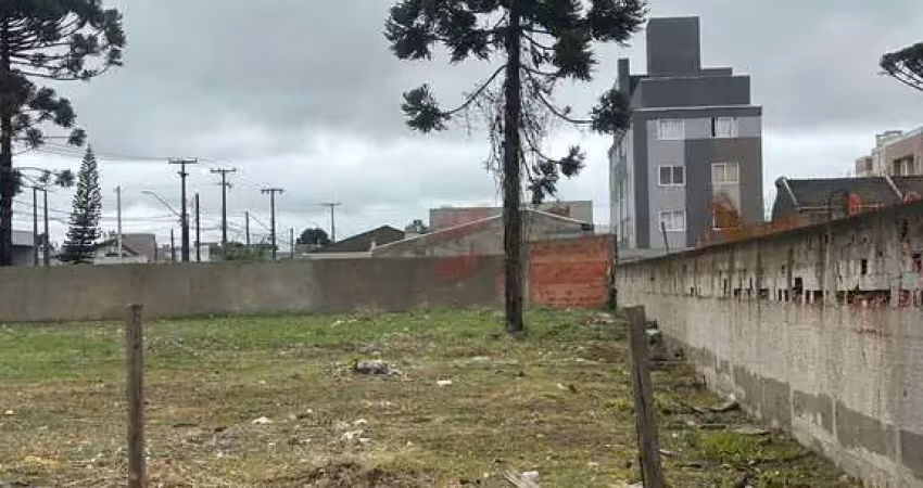 Terreno à venda na Rua Henrique Coelho Neto, Vargem Grande, Pinhais