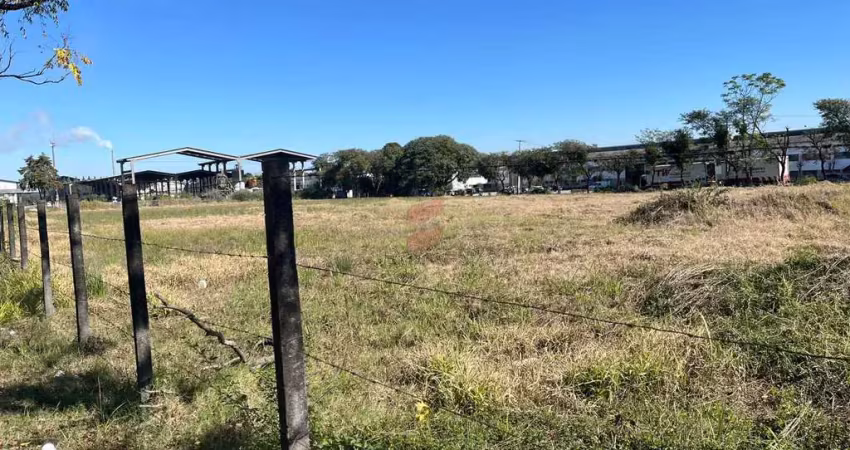Terreno comercial para alugar na Rua Umuarama, 280, Emiliano Perneta, Pinhais