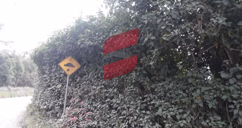 Terreno à venda na Colonia Japonesa, s/n, Jardim Santa Angelina, Campina Grande do Sul