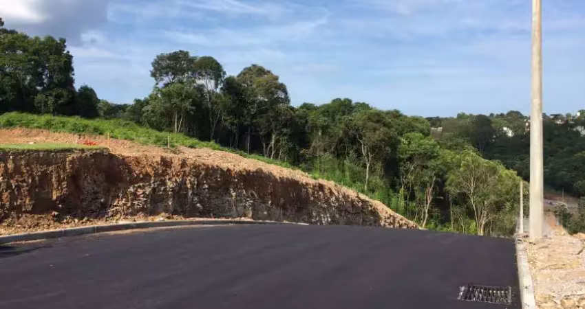 Lote para venda no bairro planalto em bento gonçalves