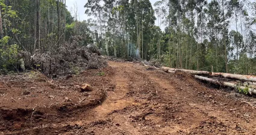 Terreno para venda no bairro farroupilha em farroupilha