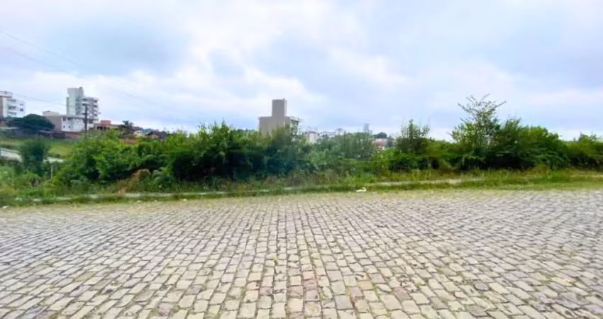 Terreno para venda no bairro sanvitto em caxias do sul