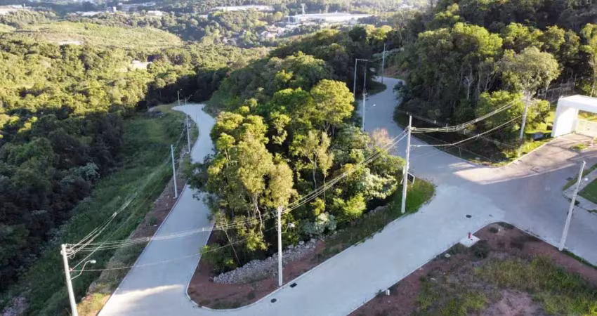 Terreno para venda no bairro verona  em bento gonçalves