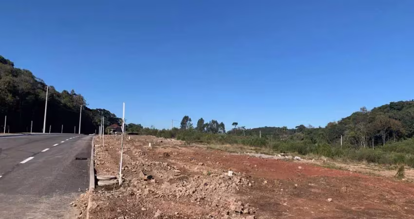 Terreno à venda na Alfândega, Garibaldi 