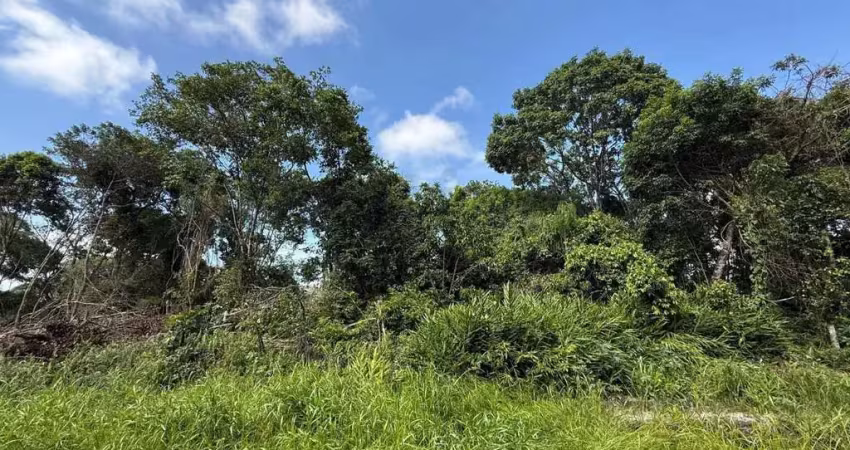 Terreno à venda no Pontal do Norte, Itapoá 