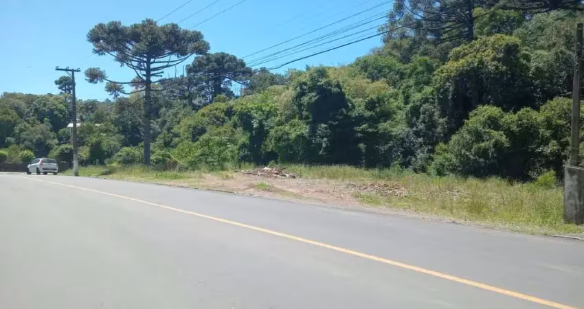 Terreno para venda no bairro simonaggio em garibaldi