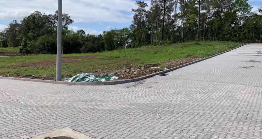 Lote para venda no bairro linha paulina em bento gonçalves