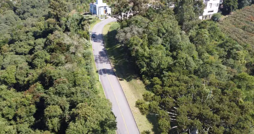 Terreno para venda no bairro santo antão  em bento gonçalves