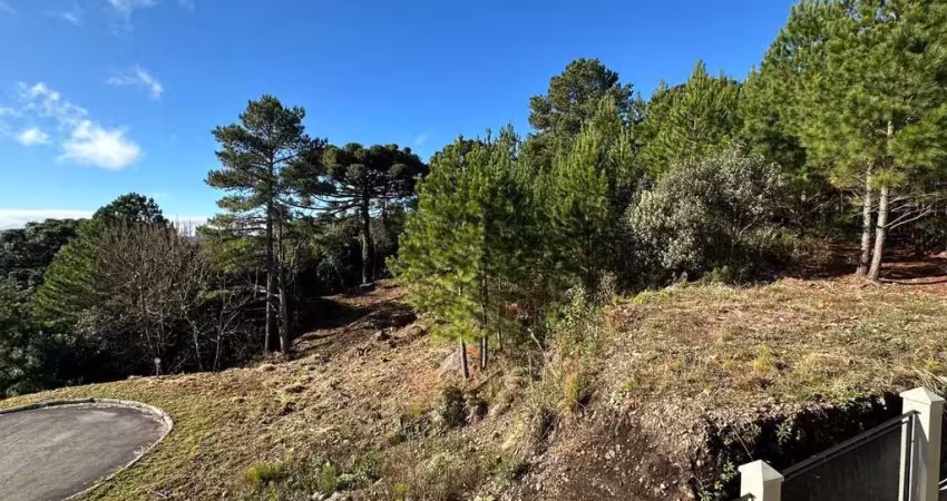 Terreno para venda no bairro mato queimado em gramado