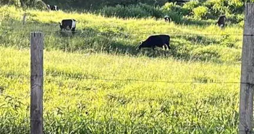 Chácara / sítio à venda na Rua São Marcos, Fazenda São Marcos, Bofete