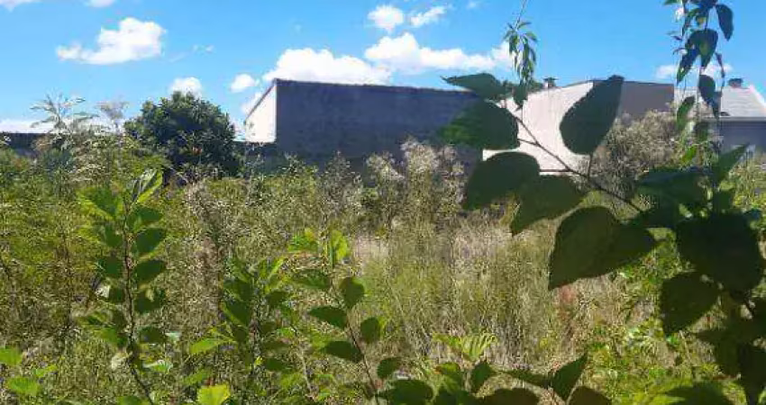 Terreno, 575 m² - venda por r$ 575.000,00 ou aluguel por r$ 3.107,05/mês - guaíra - curitiba/pr