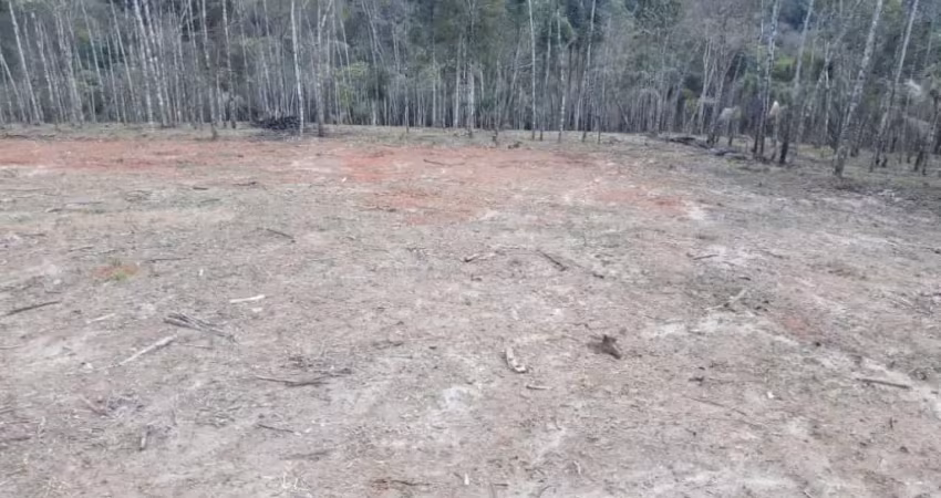 Chácara 11.000 m² na Roseira