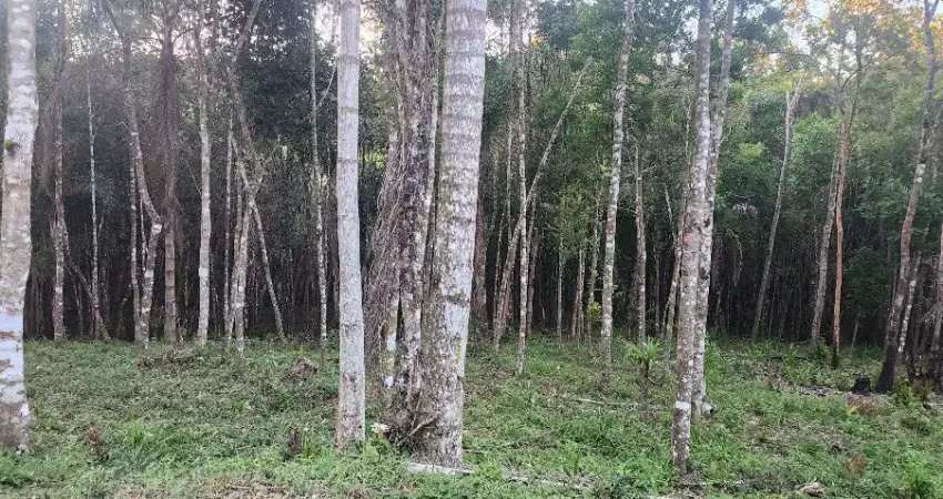 Belíssima Área na Roseria