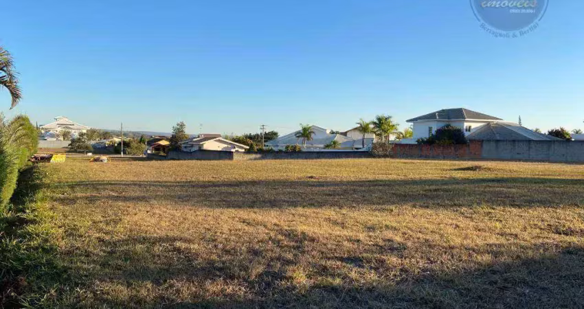 linda vista