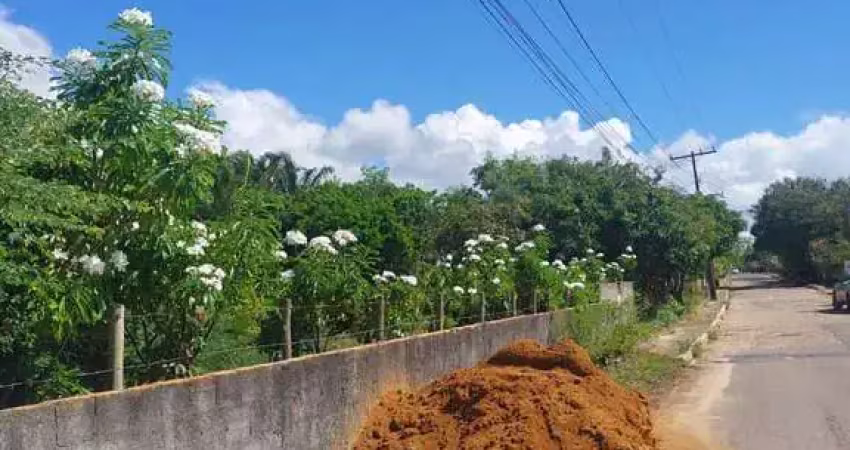 Itacimirim - lote nascente  próximo a pousada caribe 1.000m² om 20m de frente e 50m profundidade ru