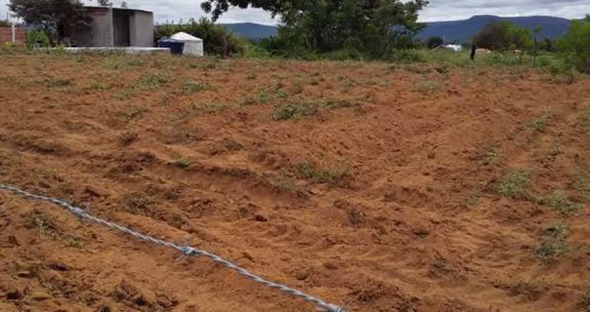 TERRENO 1600 m², NASCENTE, PRÓXIMO A FACULDADE  AGES A 4KM DA CIDADE DE JACOBINA 360 GRAUS DE VISTA