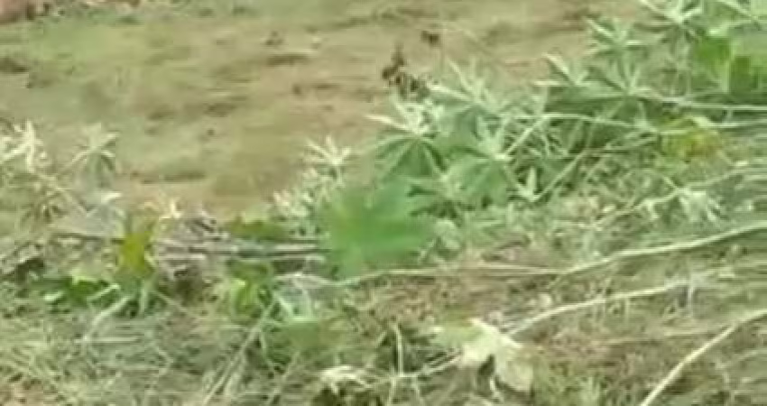 Lote para Venda em Esmeraldas, Novo Retiro
