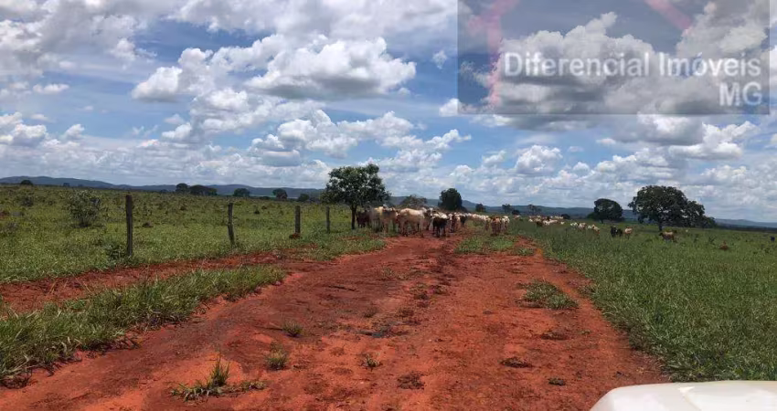 Fazenda à venda na Zona Rural, Paracatu 