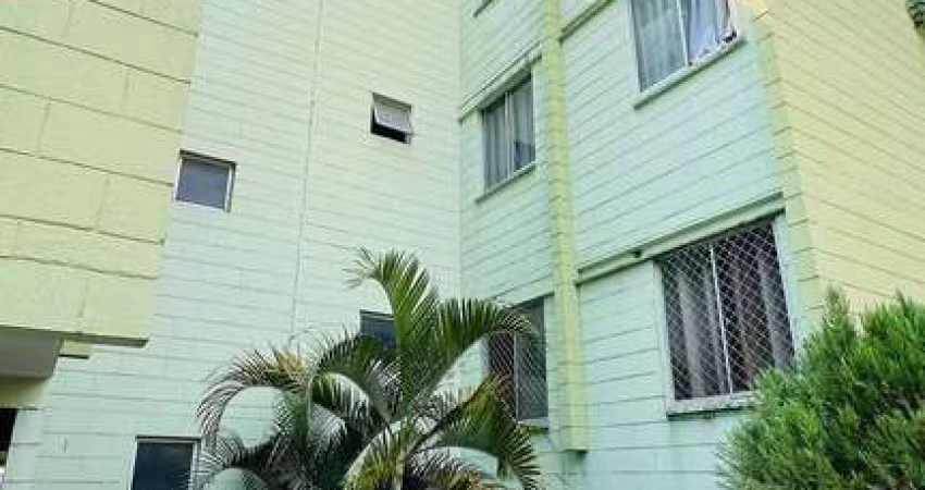 Apartamento com 2 quartos à venda na Rua João Samaha, São João Batista, Belo Horizonte