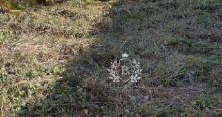 Terreno à venda, 432 m² por R$ 200.000,00 - Praia do Barbudo - Araruama/RJ