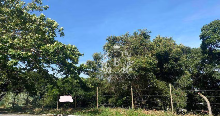 Terreno à venda, 176812 m² por R$ 700.000,00 - Altos de Búzios - Armação dos Búzios/RJ