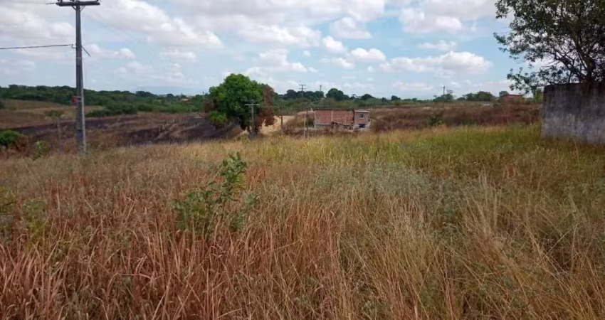 Terreno à venda, 1009 m² por r$ 100.000,00 - jardim califórnia - araruama/rj