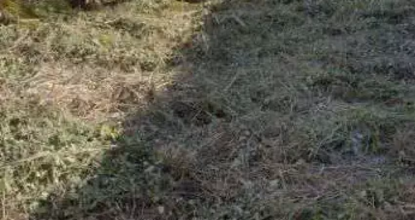 Terreno à venda, 432 m² por R$ 180.000,00 - Praia do Barbudo - Araruama/RJ