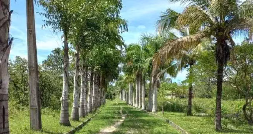 Sítio com 5 dormitórios à venda, 145200 m² por r$ 1.500.000,00 - clube engenheiros - araruama/rj