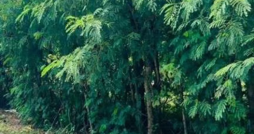 Terreno à venda, 378 m² por R$ 300.000 - Centro - Araruama/RJ