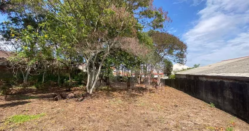 Lote/terreno para aluguel, jardim carvalho - ponta grossa/pr