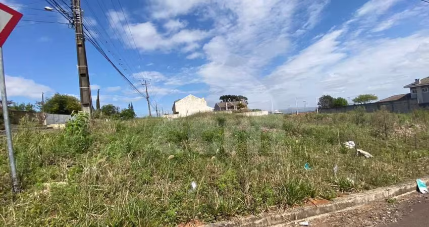 Lote/Terreno para aluguel, Jardim Carvalho - Ponta Grossa/PR