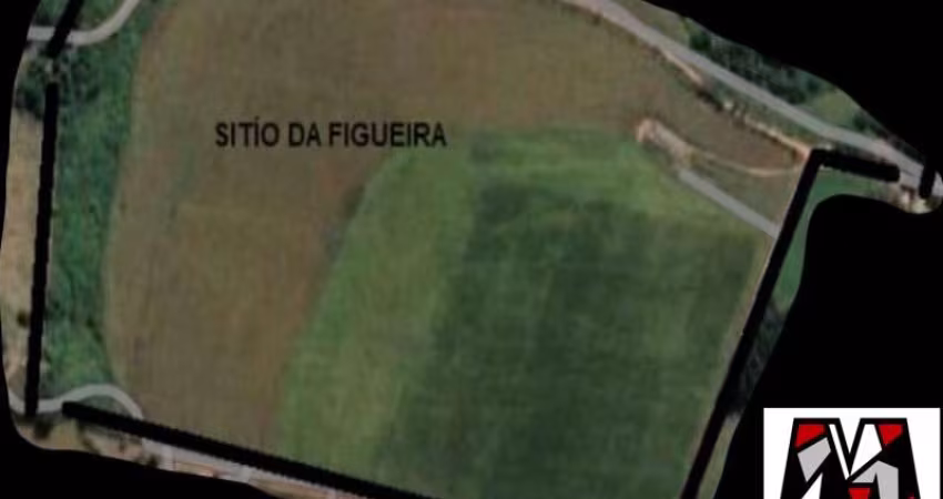 Sítio com ótima topografia, bairro Pedregulho, Itu, permuta