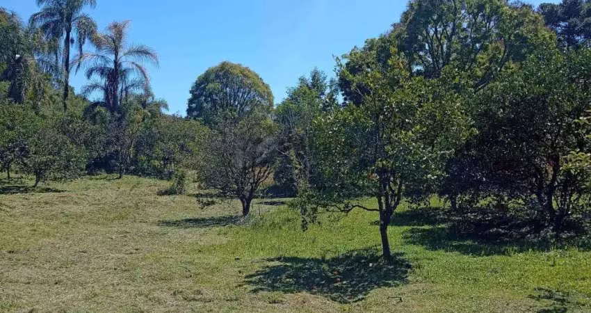 Chácara / sítio à venda no Forqueta, Caxias do Sul 