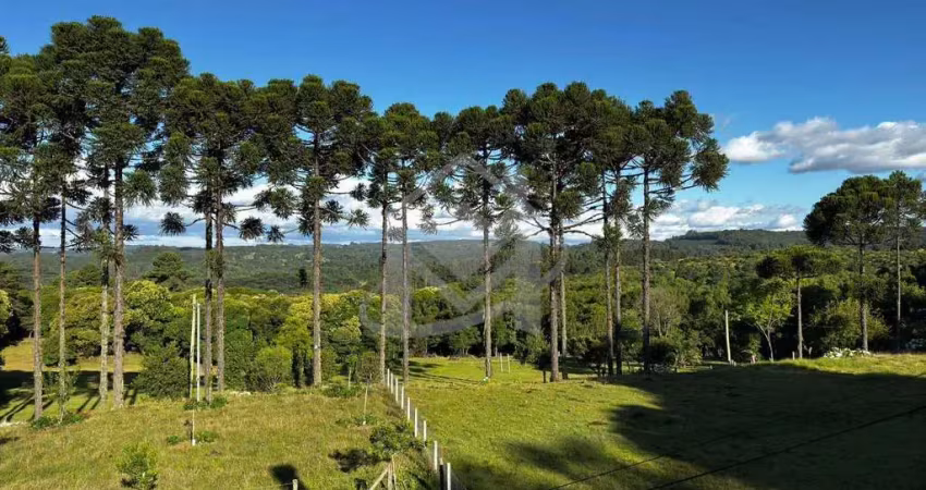 Chácara / sítio à venda na Ana Rech, Caxias do Sul 