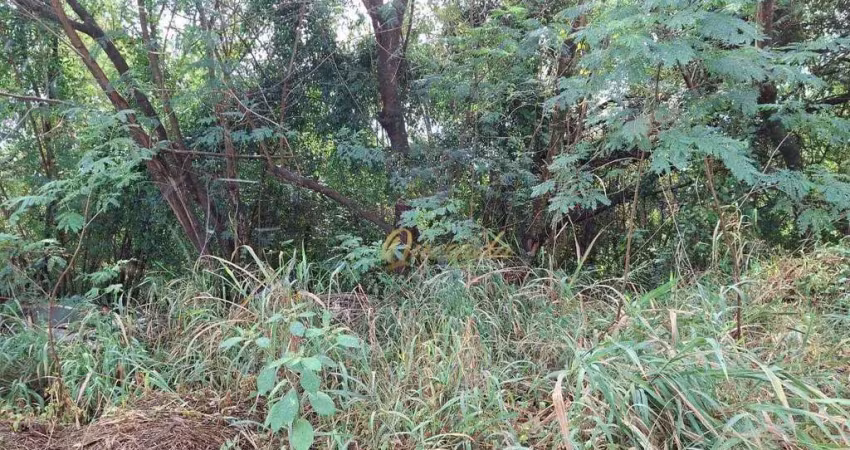 Terreno residencial à venda, 1000 m², recanto campestre internacional de viracopos, indaiatuba.