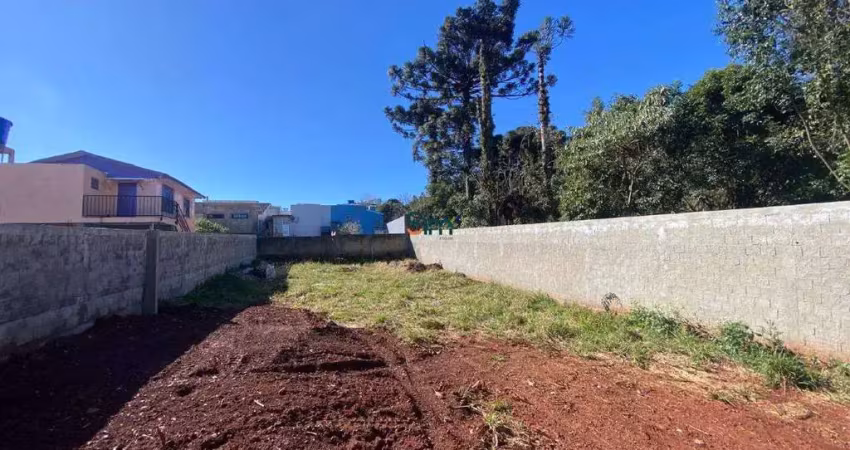 Terreno à venda na Mansueto Tirelli, Santo Antônio, Chapecó