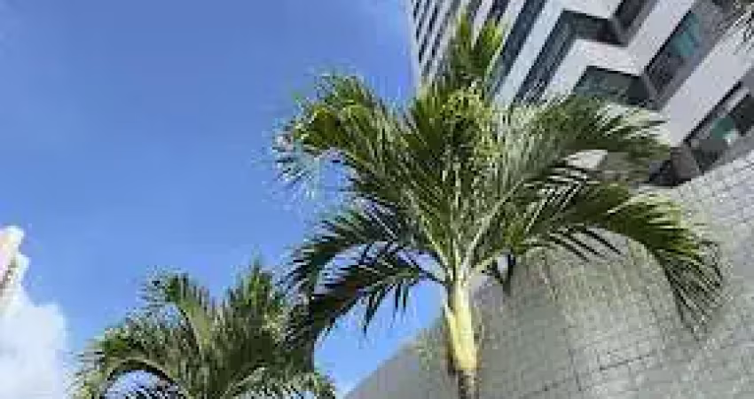Vende-se apartamento amplo com 3 suites, área comum completa no bairro rosarinho