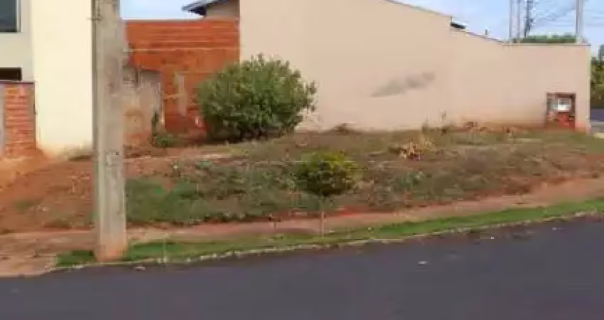 Terreno comercial para alugar na Rua Delfino Fernandes de Souza, Residencial Mirante, São José do Rio Preto