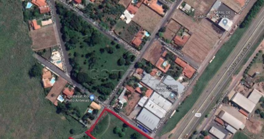 Terreno Padrão em São José do Rio Preto