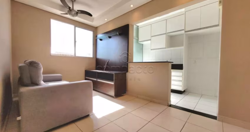 Apartamento Padrão em São José do Rio Preto